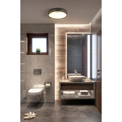 Searchlight - Iluminação de teto para casa de banho PHEONIX 2xE14/60W/230V diâmetro 30 cm IP44
