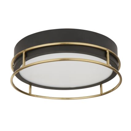 Searchlight - Iluminação de teto para casa de banho PHEONIX 2xE14/60W/230V diâmetro 30 cm IP44