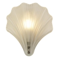 Searchlight - Aplique de parede SHELL 1xG9/7W/230V branco