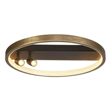 Searchlight - Candeeiro de teto LED com regulação GRACE LED/37,8W/230V