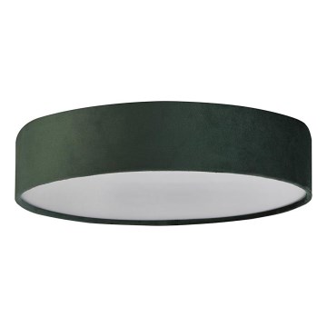 Searchlight - Luminária de teto DRUM 3xE27/60W/230V verde