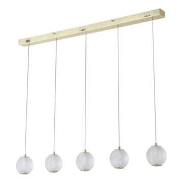 Searchlight - Lustre LED suspenso por cabo ALLURE 5xLED/4,2W/230V