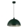 Searchlight - Lustre suspenso em cabo MARS 1xE27/60W/230V diâmetro 25 cm verde