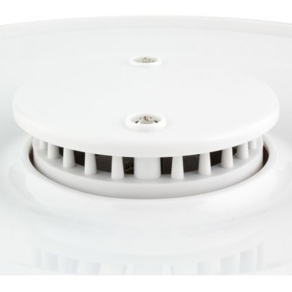 Sencor - Secador de alimentos com termoregulação 250W/230V