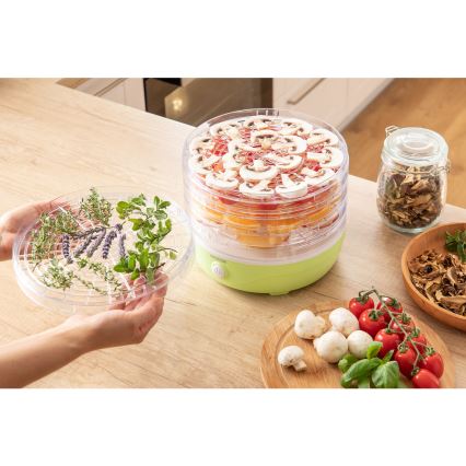 Sencor - Secador para alimentos 250W/230V