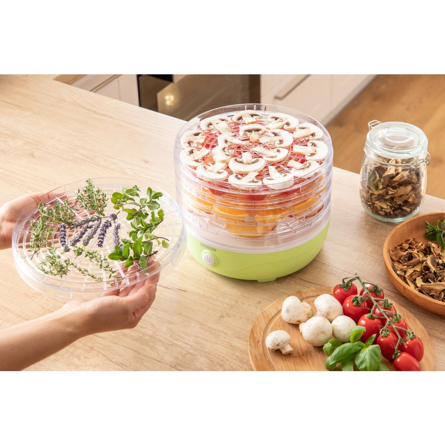 Sencor - Secador para alimentos 250W/230V