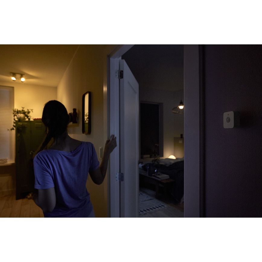 Sensor de movimento Philips Hue 2xAAA IP42