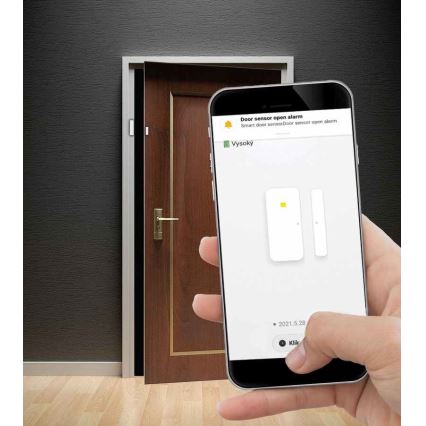 Sensor inteligente de janela e porta 2xAAA Wi-fi Tuya