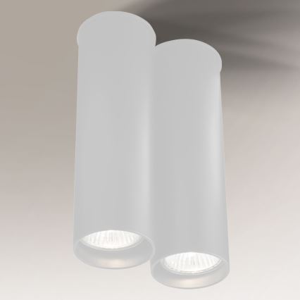 Shilo - Iluminação de teto 2xGU10/15W/230V branca