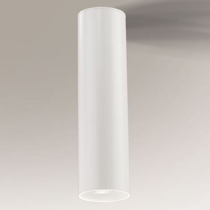 Shilo - Iluminação de teto 1xGU10/15W/230V branca