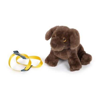 Small Foot - Peluche cão com care kit