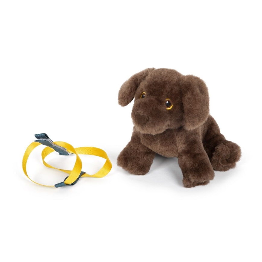 Small Foot - Peluche cão com care kit