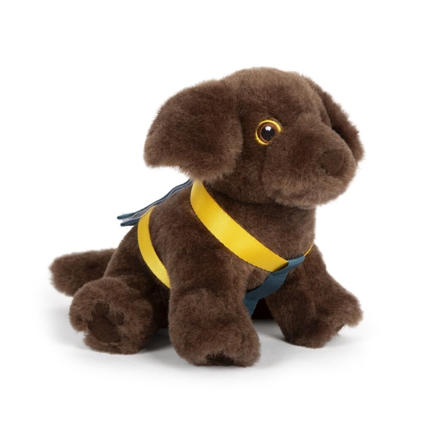 Small Foot - Peluche cão com care kit