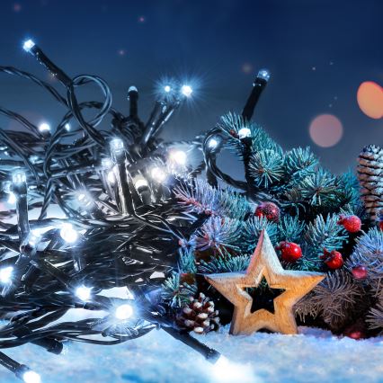 Corrente exterior de Natal LED 100xLED/8 funções 13m IP44 branco frio