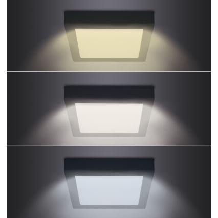 Iluminação de teto LED LED/12W/230V 3000/4000/6000K preto angular