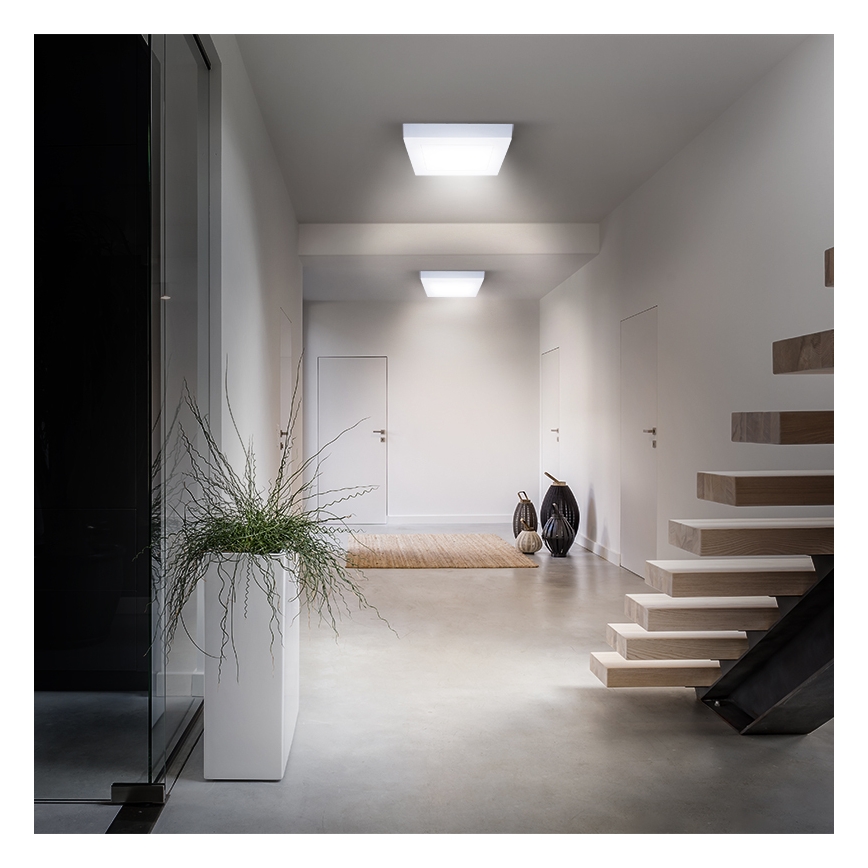 LED Candeeiro de tecto LED/18W/230V 3000/4000/6000K 22,5x22,5 cm branco