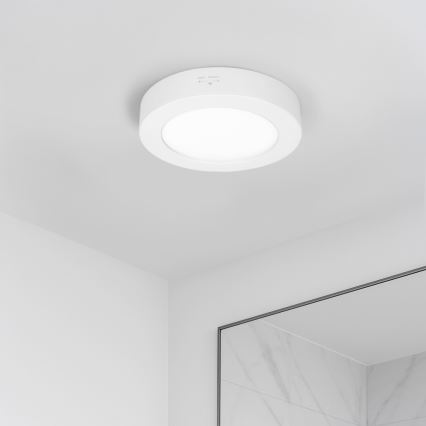 Painel LED 2 em 1 (sobrepor/embutir) 12W / 230V / 3000/4000/6000K / Ø17 cm / IP54 / branco