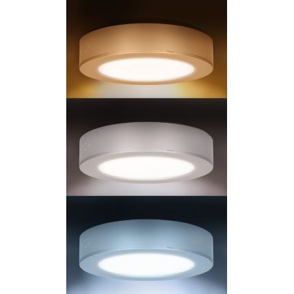 Painel LED 2 em 1 (sobrepor/embutir) 12W / 230V / 3000/4000/6000K / Ø17 cm / IP54 / branco