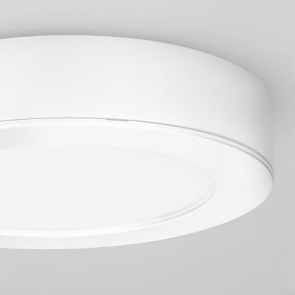 Painel LED 2 em 1 (sobrepor/embutir) 12W / 230V / 3000/4000/6000K / Ø17 cm / IP54 / branco