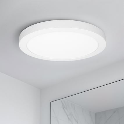 Painel LED 2 em 1 sobrepor/embutir 24W/230V 3000/4000/6000K Ø 30 cm IP54 branco