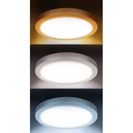 Painel LED 2 em 1 sobrepor/embutir 24W/230V 3000/4000/6000K Ø 30 cm IP54 branco