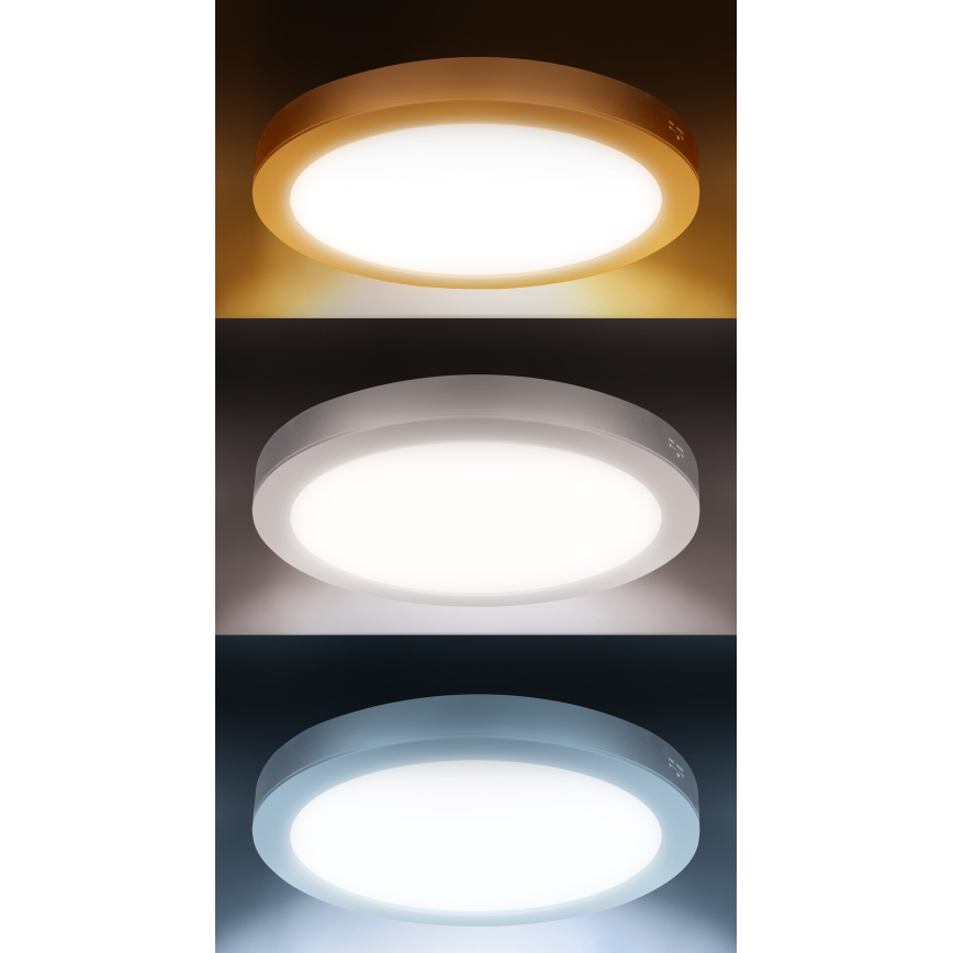 Painel LED 2 em 1 sobrepor/embutir 24W/230V 3000/4000/6000K Ø 30 cm IP54 branco