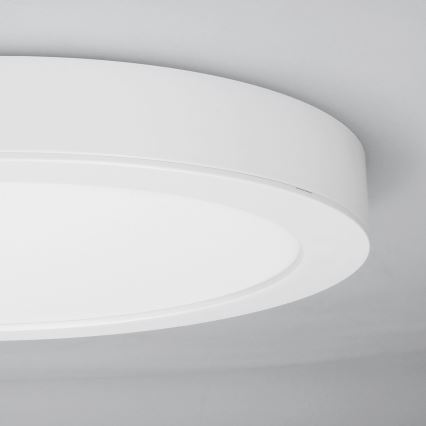 Painel LED 2 em 1 sobrepor/embutir 24W/230V 3000/4000/6000K Ø 30 cm IP54 branco