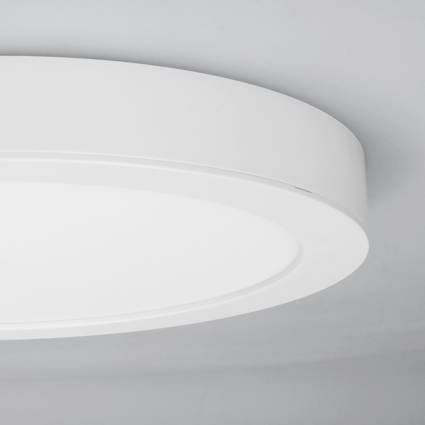 Painel LED 2 em 1 sobrepor/embutir 24W/230V 3000/4000/6000K Ø 30 cm IP54 branco