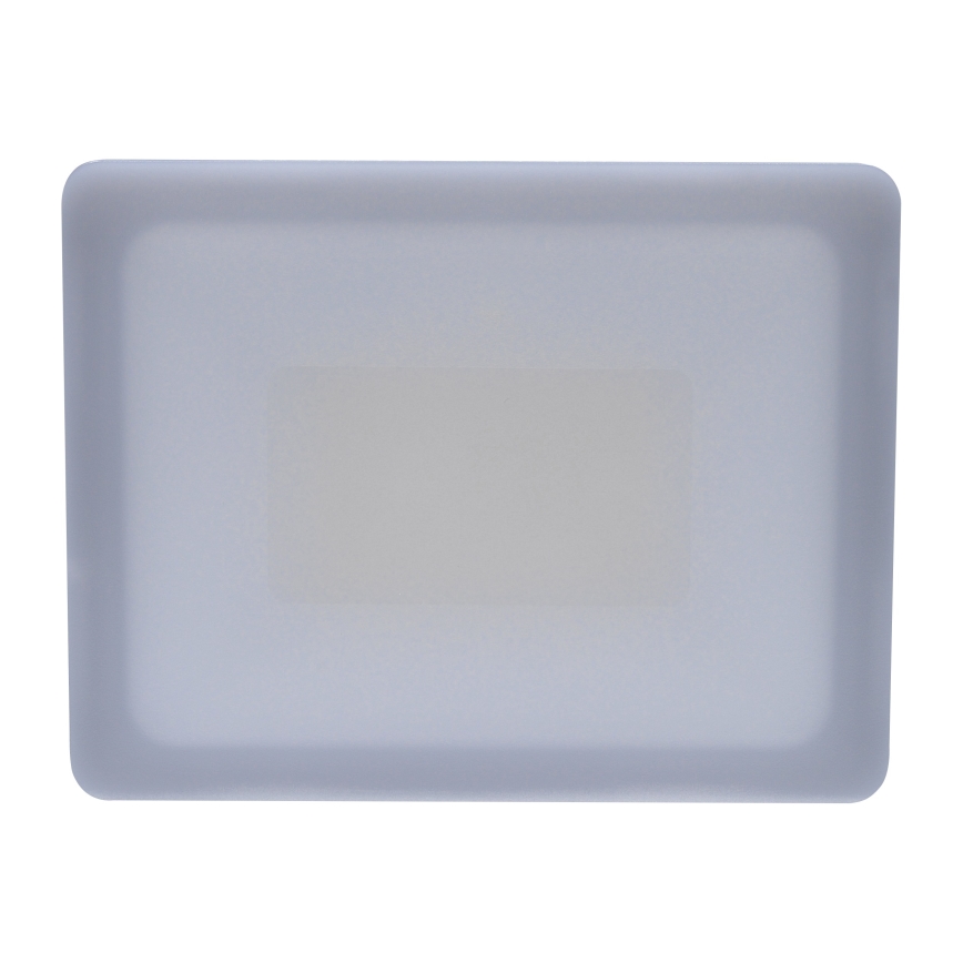 Holofote exterior LED LED/30W/230V 4000K IP65