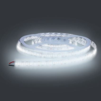 Tira LED LED/80W/12V 5m branco frio