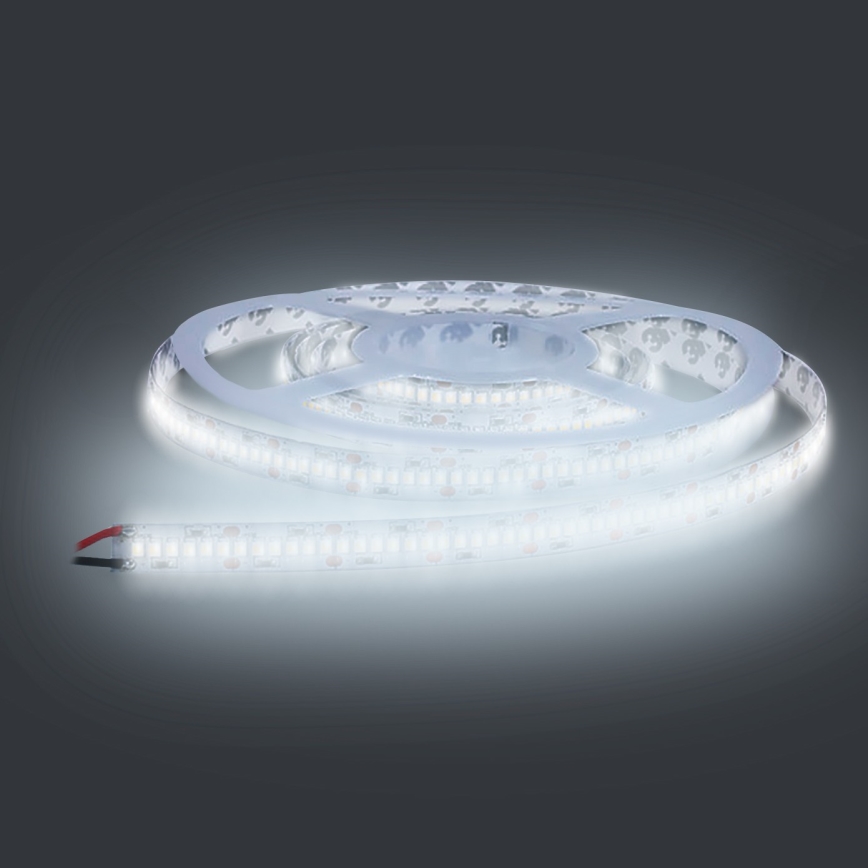 Tira LED LED/80W/12V 5m branco frio