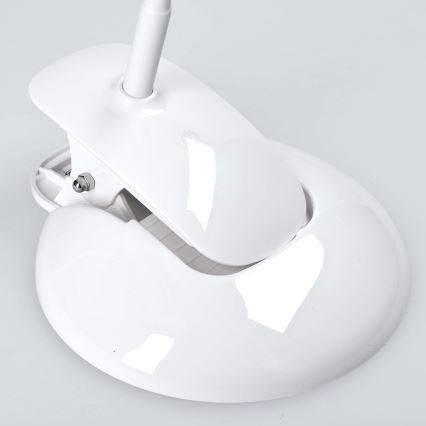 Candeeiro de mesa LED regulação podstavec i klip LED/5W/230V
