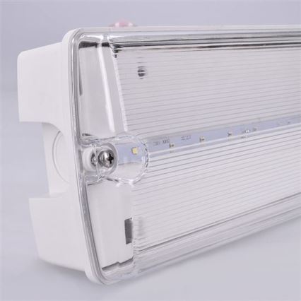 Iluminação de emergência LED LED/3,2W/230V IP65 6500K