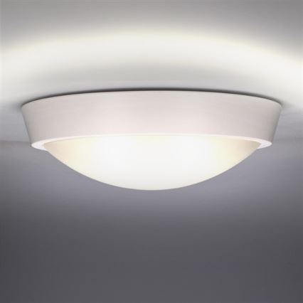 Luz de teto de exterior LED 1xLED/30W/230V  IP65