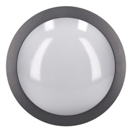 Iluminação de teto exterior LED LED/13W/230V IP54 antracite