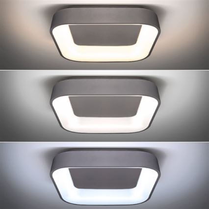 Luz de teto fosca LED TREVISO LED/48W/230V + RC