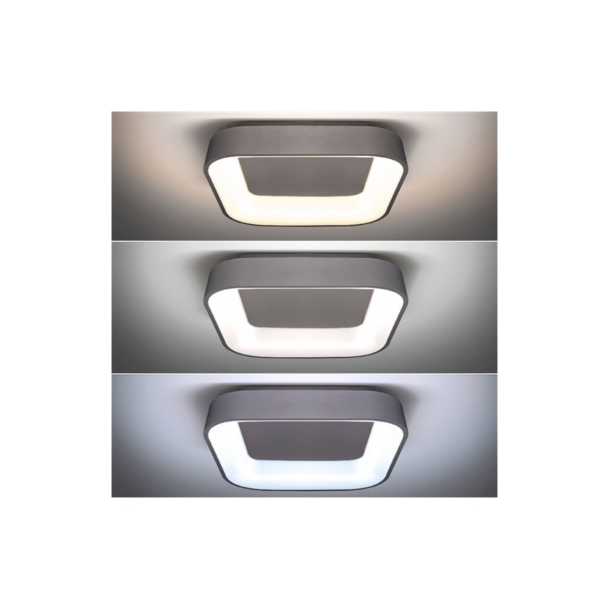 Luz de teto fosca LED TREVISO LED/48W/230V + RC