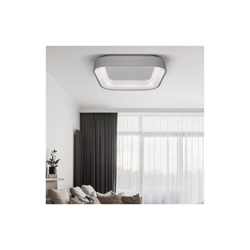 Luz de teto fosca LED TREVISO LED/48W/230V + RC