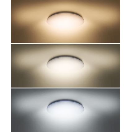 Iluminação de teto LED PLAIN LED/24W/230V 3000K/4000K/6000K redonda