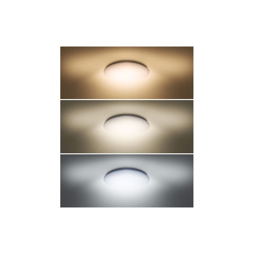 Iluminação de teto LED PLAIN LED/24W/230V 3000K/4000K/6000K redonda