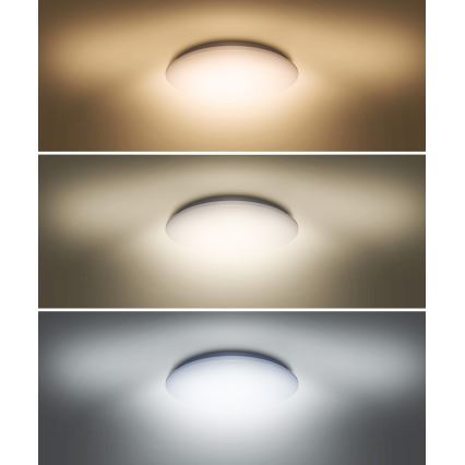 Iluminação de teto LED PLAIN LED/36W/230V 3000/4000/6000K redondo