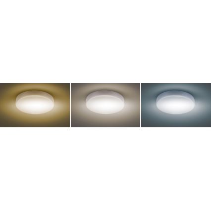 Iluminação de teto LED com regulação LED/36W/230V 3000-6000K + comando