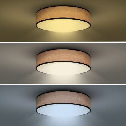 Iluminação de teto LED com regulação BROWNIE LED/48W/230V 3000-6500K castanho diâmetro 40 cm + comando