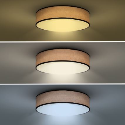 Iluminação de teto LED com regulação BROWNIE LED/60W/230V 3000-6500K castanho diâmetro 50 cm + comando
