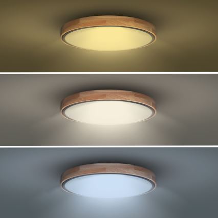 Iluminação de teto LED com regulação IRON OAK LED/60W/230V 3000-6500K carvalho diâmetro 51 cm + comando
