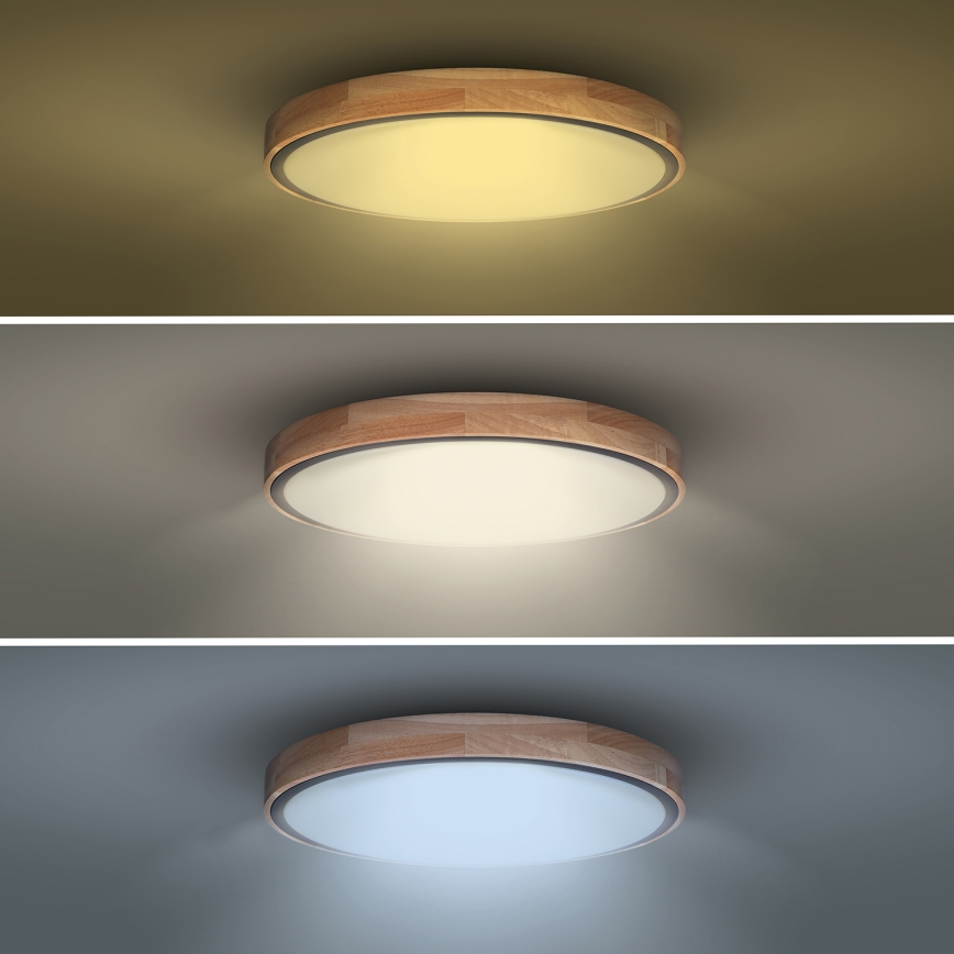 Iluminação de teto LED com regulação IRON OAK LED/60W/230V 3000-6500K carvalho diâmetro 51 cm + comando