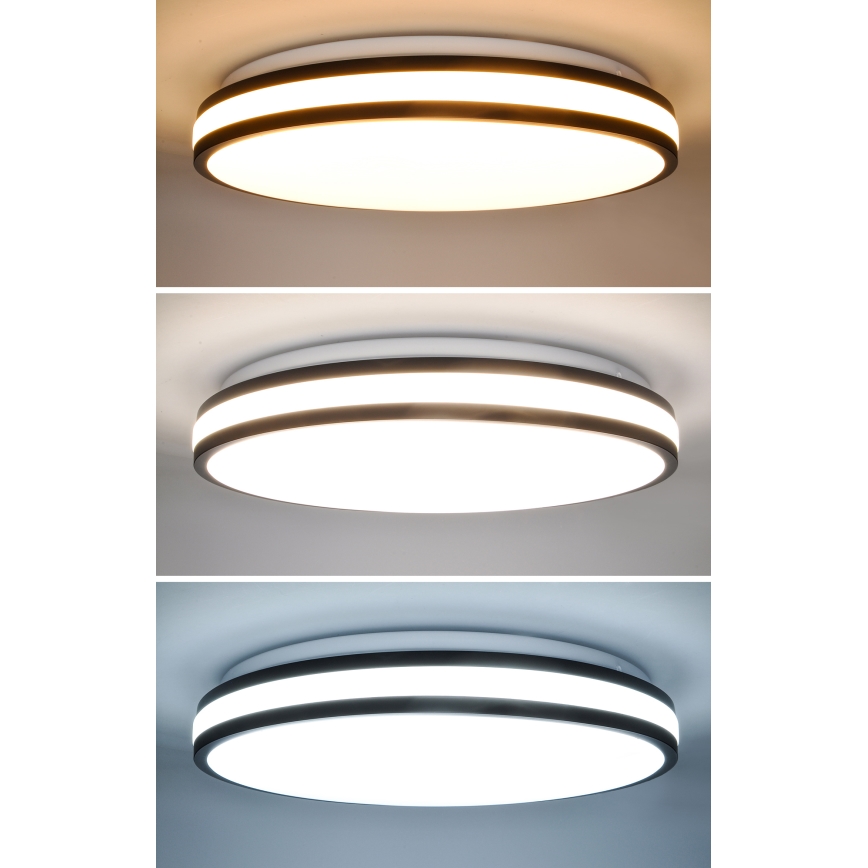 Iluminação de teto LED com regulação LASKOS LED/48W/230V 3000-6500K preto + comando