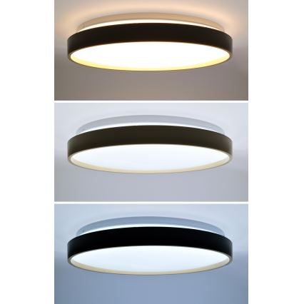 Iluminação de teto LED com regulação CALA LED/48W/230V 3000-6500K preto/dourado + comando
