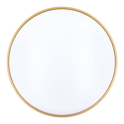 Iluminação de teto LED com regulação CALA LED/48W/230V 3000-6500K preto/dourado + comando