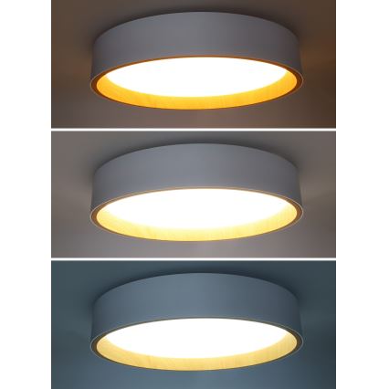 Iluminação de teto LED com regulação LARIOS LED/48W/230V 3000-6500K diâmetro 39 cm branco + comando